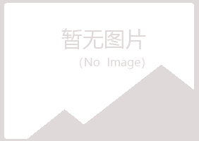 桃山区惜霜邮政有限公司